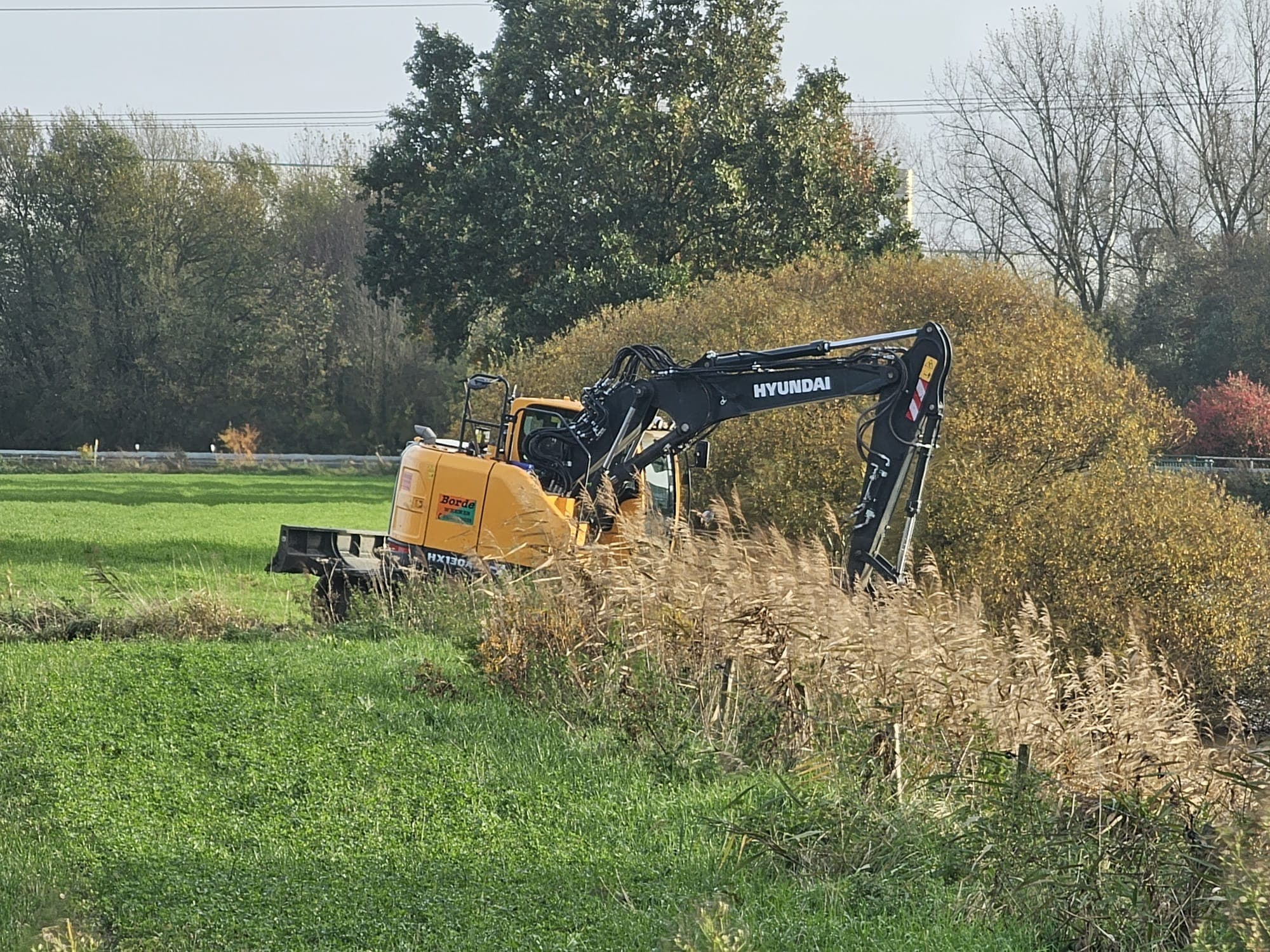 Bagger von Landschaftpflege Borde schneidet Strauch- und Heckenbewuchs entlang eines Feldes (Straßenbegleitgrün).